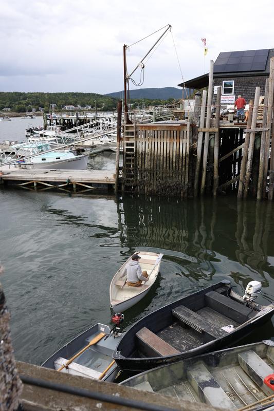 Coastal Maine photo 12