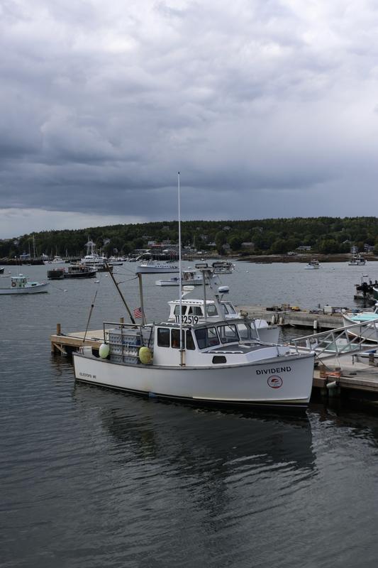 Coastal Maine photo 13